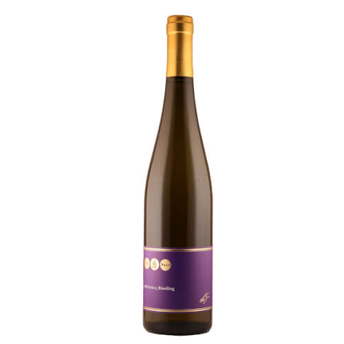 MAGNUM 2016 Oelberg Riesling trocken