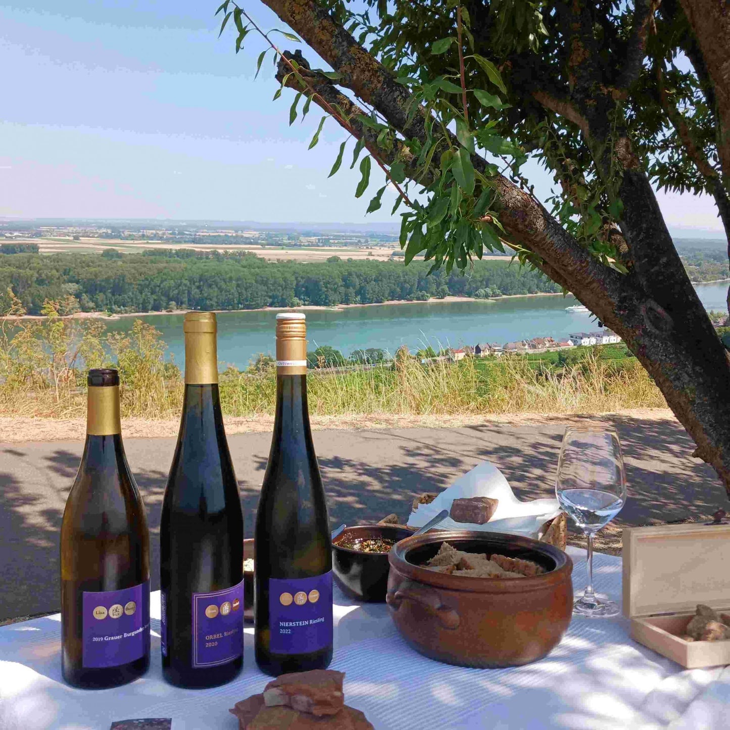 Rheinblick aus den Weinbergen des Roten Hangs