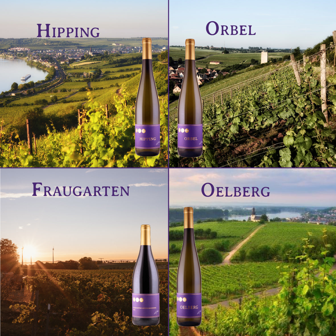 Lagenwein Paket