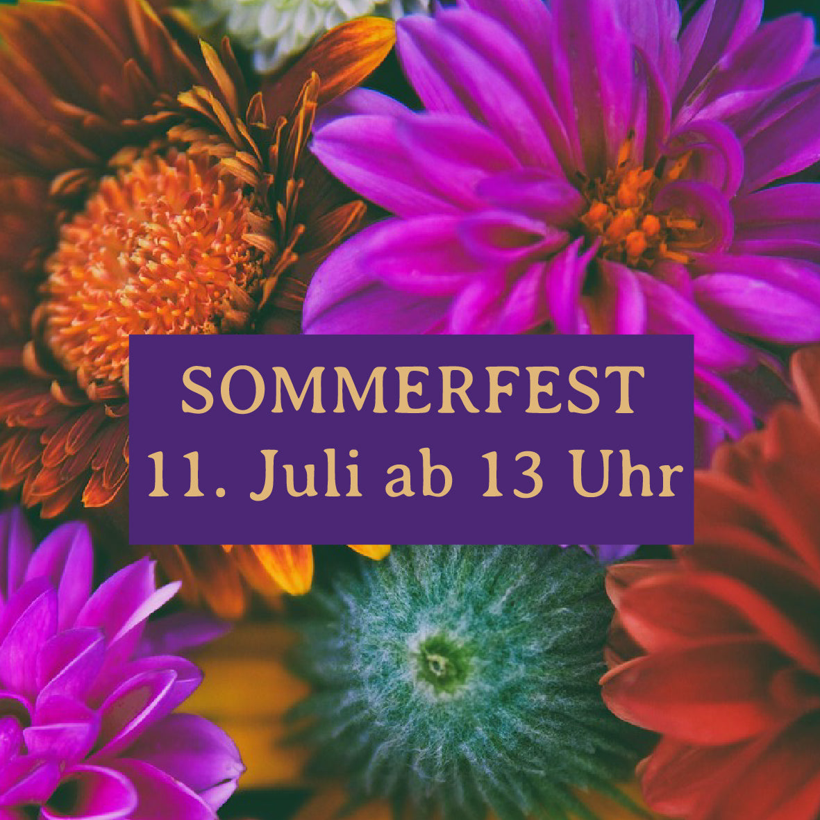 Anmeldung zum Sommerfest